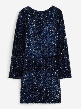 h&m blue glitter dress Sequin Hm for Sale up to 90% Off: Poshmark price_Under 599
